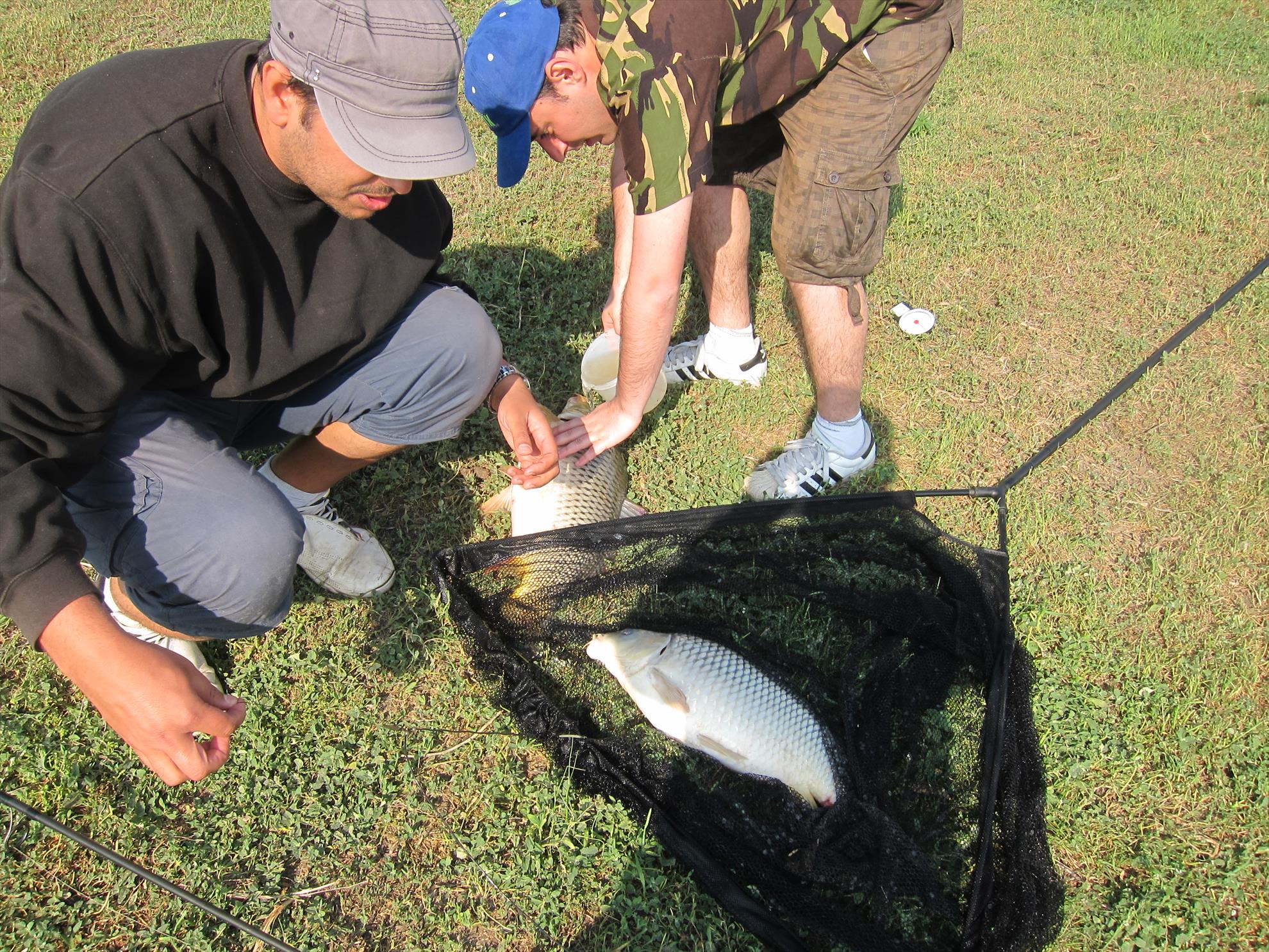 Solacolu - mai 2012 - img2348.JPG